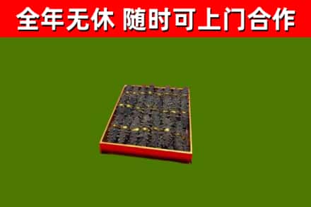 四会回收海参